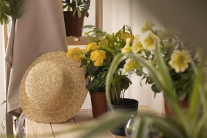 tendencias decoracion 2026 virginia perez interiorista mallorca 2