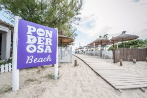 Ponderosa Beach 2013